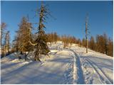 Planina Zajavornik - Debeli vrh above Lipanca